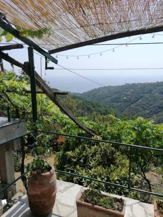 Vila Ca Du Stea Lavagna Exteriér fotografie