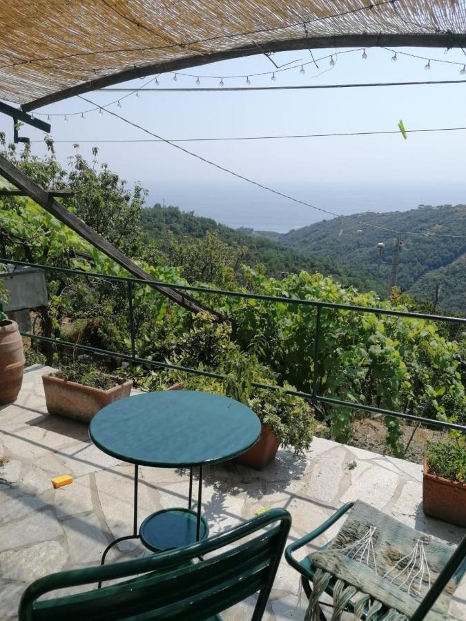 Vila Ca Du Stea Lavagna Exteriér fotografie