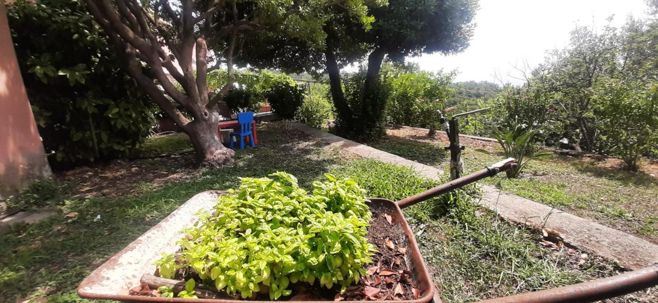 Vila Ca Du Stea Lavagna Exteriér fotografie