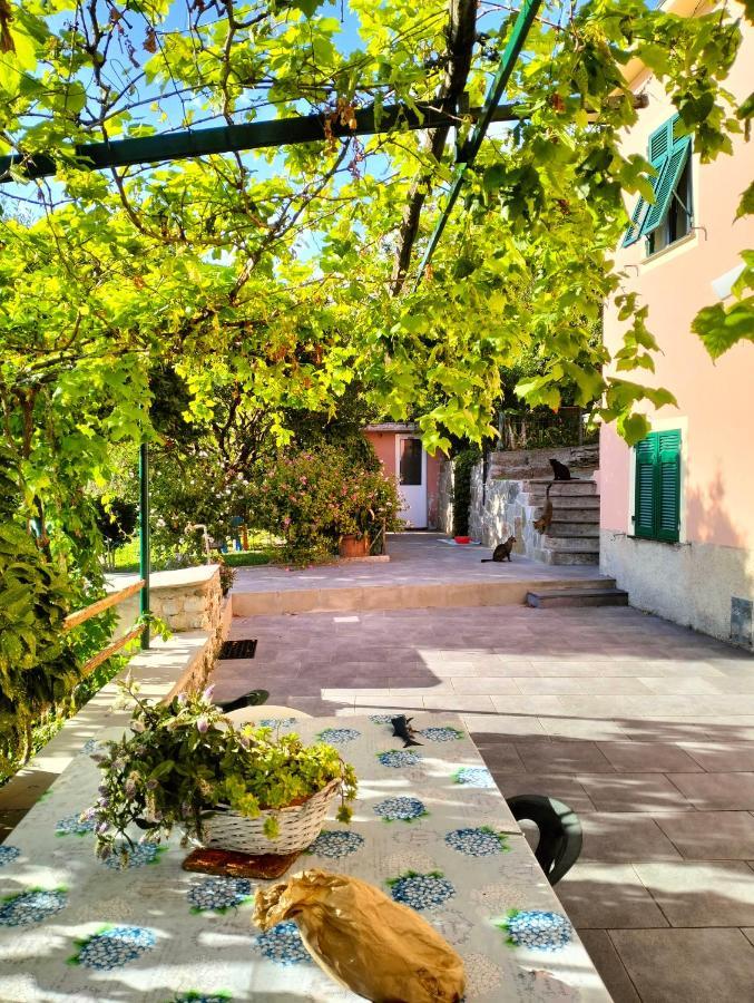 Vila Ca Du Stea Lavagna Exteriér fotografie